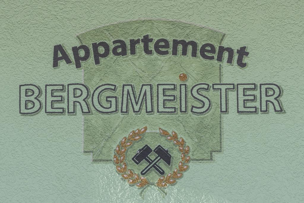 Appartement Bergmeister Раурис Экстерьер фото